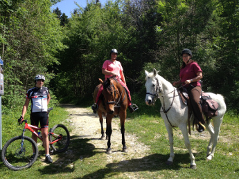 Fahrradfahren und Reiten